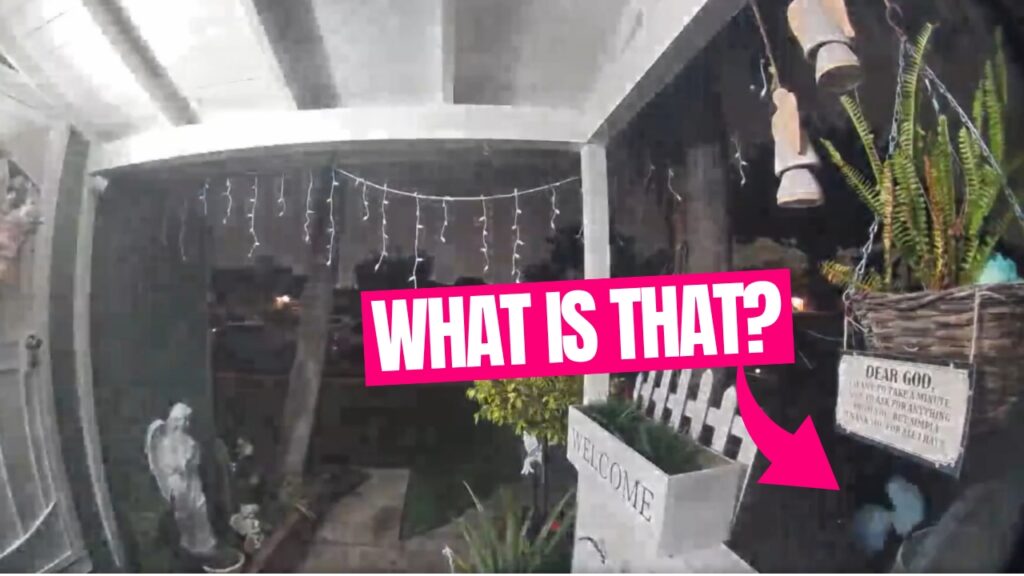 Alien Encounter? Strange Humanoid Caught on Camera in California