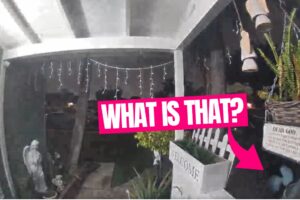Alien Encounter? Strange Humanoid Caught on Camera in California